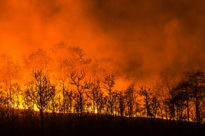OMD apoia população afetada pelos incêndios