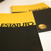 Ordens profissionais pedem que primeiro-ministro intervenha para desbloquear os novos estatutos