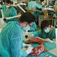 PIPCO: ponto de situação da primeira fase de implementação