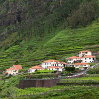 Voto de louvor aos médicos dentistas da Madeira