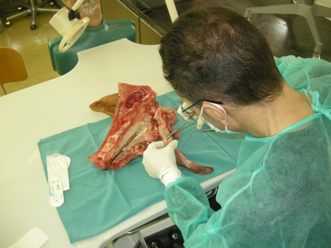 680px-20140308-pipco-pratico-porto-017