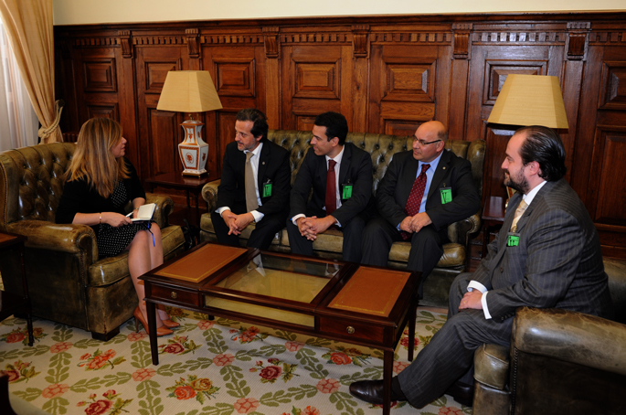 685px-20140415-teresa-caeiro-assembleia-003