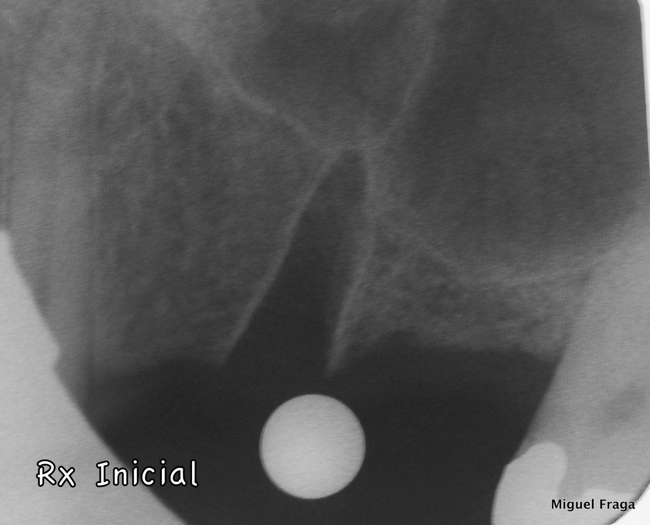 c015-001-webimg650px