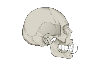 Reabilitação oral: Oclusão aplicada à reabilitação oral (2º módulo, streaming)