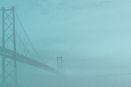 Congresso: programa científico, apresentações e inscrições