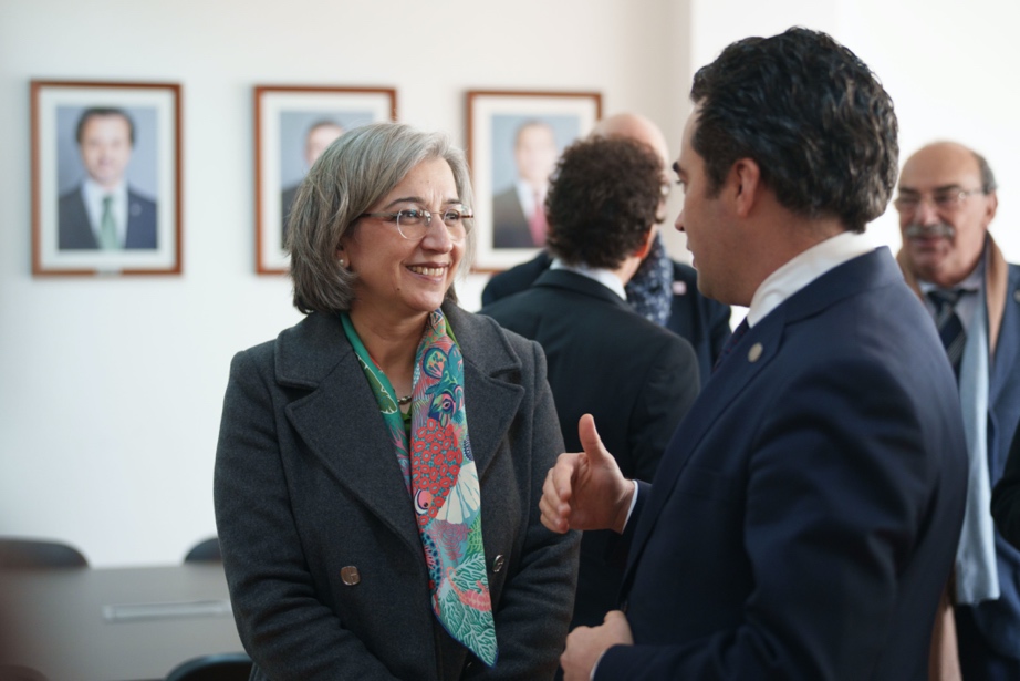 Margarida Tavares, secretária de Estado da Promoção da Saúde