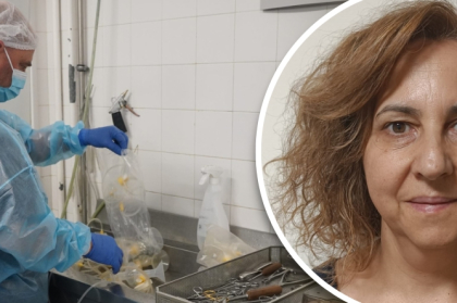 Vídeo do curso socioprofissional com Alexandrinha Ribeiro disponível para visualização