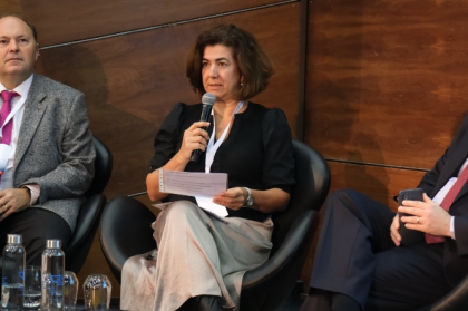 A responsabilidade e a direção clínica (vídeo da sessão)