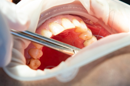 Conselho Diretivo aprova regulamento dos colégios de especialidade