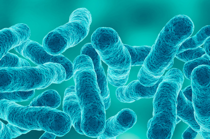 Prevenção e controlo da Legionella: informação à classe