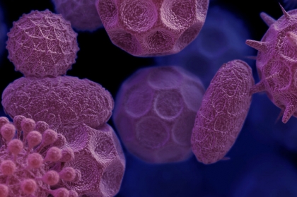 Curso hands-on de L-PRF