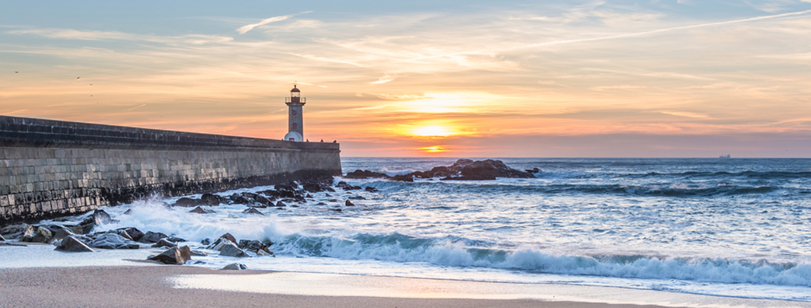 29º Congresso da OMD adiado para 2021